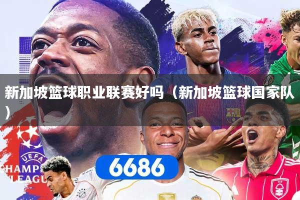 新加坡篮球职业联赛好吗（新加坡篮球国家队）